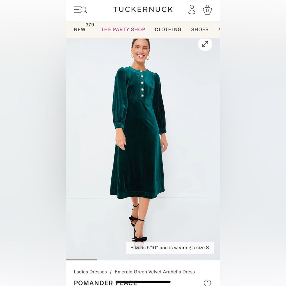 Pomander Place Emerald Green Velvet Dress